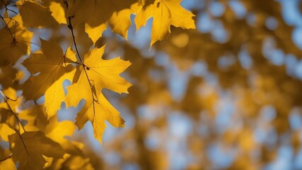 yellow autumn leaves abstract nature autumn background yellow leaves gold