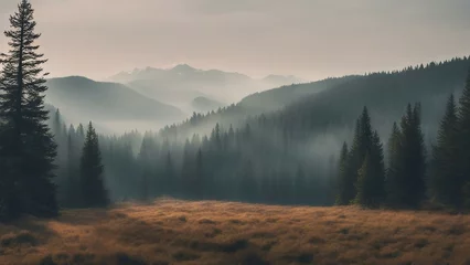 Zelfklevend Fotobehang misty morning in the mountains misty landscape with fir forest in hipster vintage retro style  © Jared