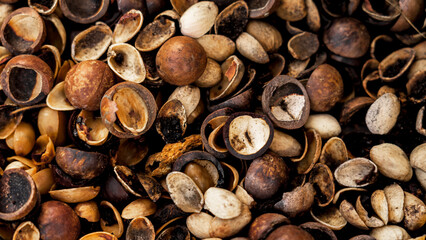 Shells of cracked macadamia nuts