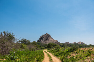 A road in a forest towards a rock