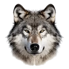 Deurstickers Close-up of wolf face isolated. Head front view isolated on  transparent background Generative AI © Adnan
