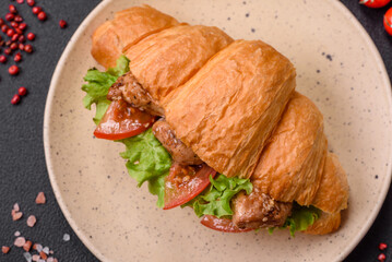Delicious fresh crispy croissant with chicken or beef meat, lettuce, tomatoes, spices and sauce