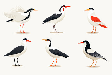 Collection of the most common asian birds isolated vector style illustration