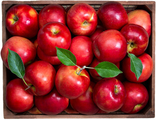 red apples in a basket