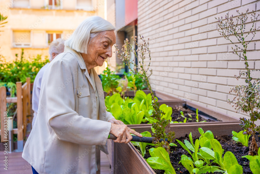 Wall mural Woman cultivating plants in a garden in a geriatric