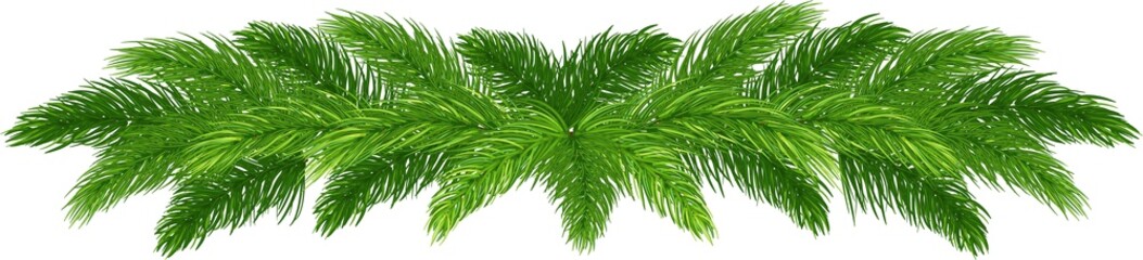 pine garland. Christmas and New Year. naturalness and environmental friendliness. on transparent, png. illustration - obrazy, fototapety, plakaty