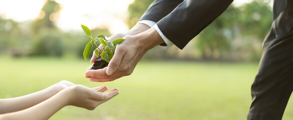 Panorama, businessman handing plant or sprout to young boy as eco company committed to corporate...