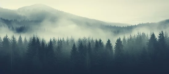 Tuinposter Vintage retro hipster style misty mountain landscape with fir forest and copyspace © 2rogan