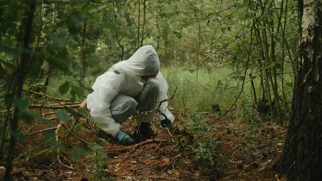 Taking probe of soil in forest, Geologist man worker taking measurements of soil probe by scientific equipment. Chemist on nature. 