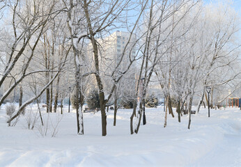 Snowy park in winter in Zelenograd in Moscow, Russia