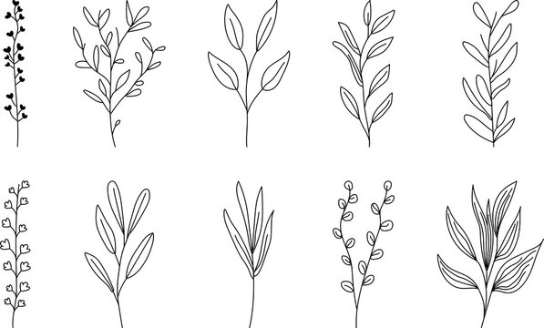 Hand drawn floral wild elements in line art style. Can use for decoration, logo, tattoo, wedding invitation and etc. PNG