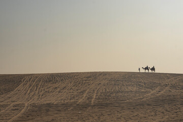 People at Sunset in the Doha Desert Photo, Doha Qatar