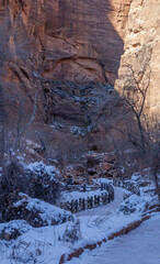 Fototapeta na wymiar Scenic Winter Landscape in Zion National Park Utah