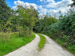 Old dirt track, leading to the fields, and hills, with wild plants, and trees, on a cloudy day near, Bingley, UK