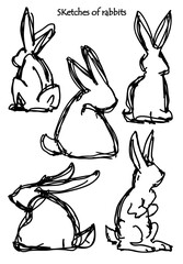 Sketches of rabbits. Vector image. Doodle drawings. - 668355881