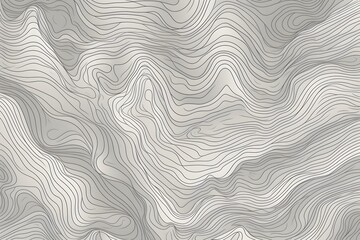 pattern of topographic contour lines