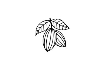  cacao fruit logo design vector with line art design style