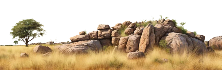 Poster Savanna with faded grass and rocks, cut out © Yeti Studio
