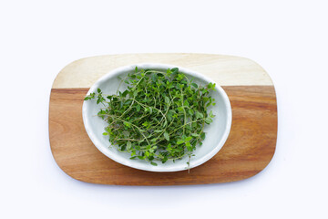 Fresh lemon thyme on white background.