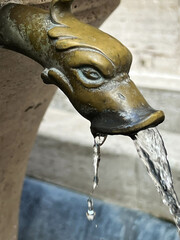 Decorative water outlets from the fountain at St. Peter's Basilica are a source of drinking water