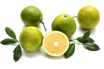 Citrus sinensis, sweet orange fruit on white background