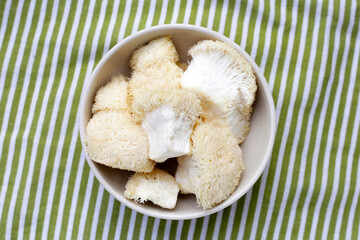 Fresh lion's mane mushroom. (Yamabushitake Mushroom)
