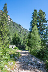 Fototapeta na wymiar Summer landscape of Rila Mountain, Bulgaria
