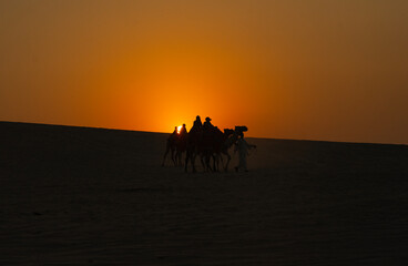 Fototapeta na wymiar Camel Caravan at Sunset Time in the Doha Desert Photo, Doha Qatar