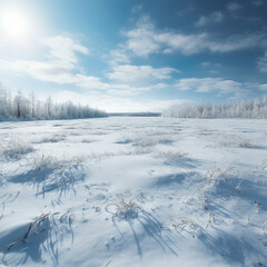 Fondo natural con detalle de paisaje helado con nieve y cielo azul