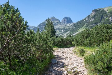 Summer landscape of Rila Mountain, Bulgaria