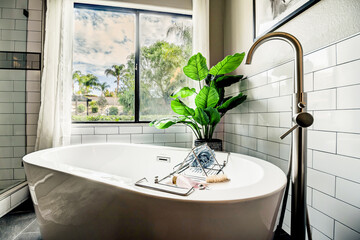 standalone tub with plant