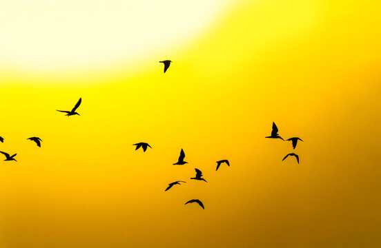 Sunset en Paraguana - Falc&oacute;n Venezuela