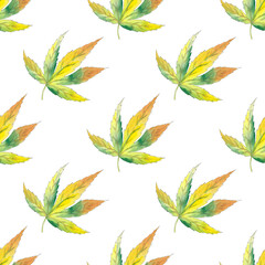 Watercolor maple leaves autumn seamless pattern with isolated. Beautiful colorful botanical illustration. Art for design card, textile, wedding invitation, paper, wallpaper.