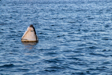 Fototapeta premium Mooring buoy in the water