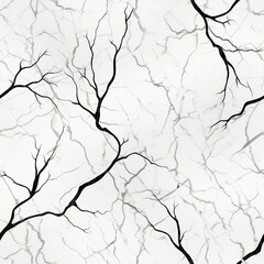 Black and White Marble Veins Patterns
