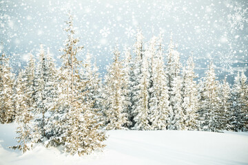 beautiful winter landscape with snowy fir trees