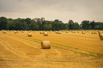 haystacks in the autumn season