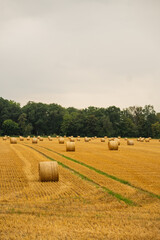 haystacks in the autumn season