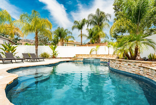 pool with palms