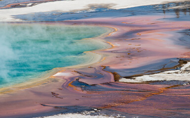 detail of the Grand Prismatic Spring from the overlook point, Midway Geyser Basin, Yellowstone National Park, Wyoming, US
