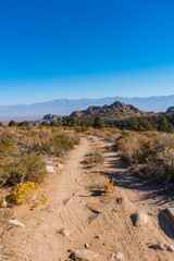 Views of Buttermilk Country at the foothills of the Sierra Nevada Mountains outside of Bishop, California. Large boulder, yellow fall foliage, and snow capped mountains.