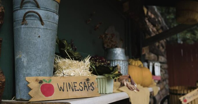 Autumn Shelf Decorations, apple signs, pumpkins, leaves, hay, barrels 