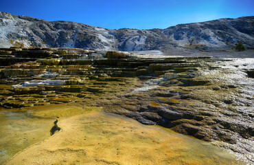 Fototapeta na wymiar Mammoth Hot Springs Yellowstone National Park, Wyoming