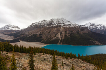 Beautiful unique colored Peyto Lake in the Banff National Park, Canada