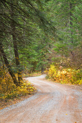 Fototapeta premium Trees and leaves with fall colors on a curving single lane gravel road in autumn
