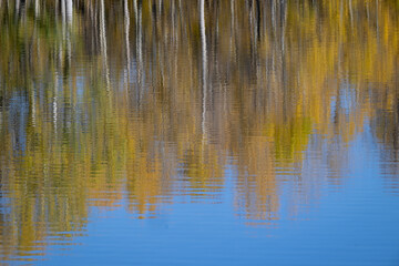 Silver Lake Fall Reflection