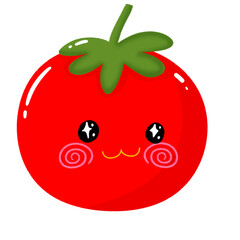 tomato illustration