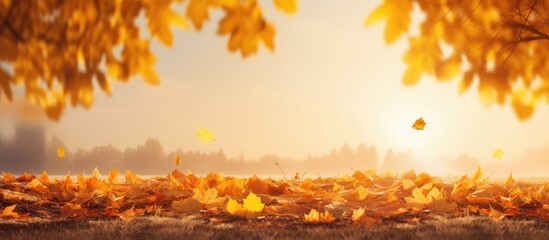 Naklejka na ściany i meble Vibrant autumn scene with yellow trees sun and falling leaves