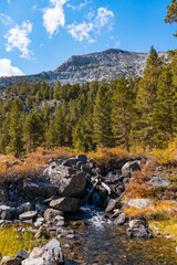Obraz na płótnie Canvas Hiking in Little Lakes Valley in the Eastern Sierra Nevada Mountains outside of Bishop, California. Alpine lakes, fall leaf colors, snow capped mountains and evergreen trees combine to make a pictures