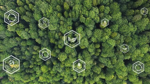 Environment ecosystem protection concept with aerial top view of green forest in the background. Sustainable conservation goals concept